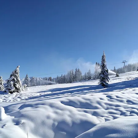 Otel Falkensteinalm Hochkrimml 4*